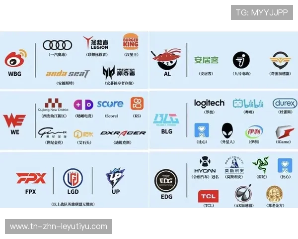 电竞职业联赛冠名赞助商变更，市场反响热烈，电竞 赞助