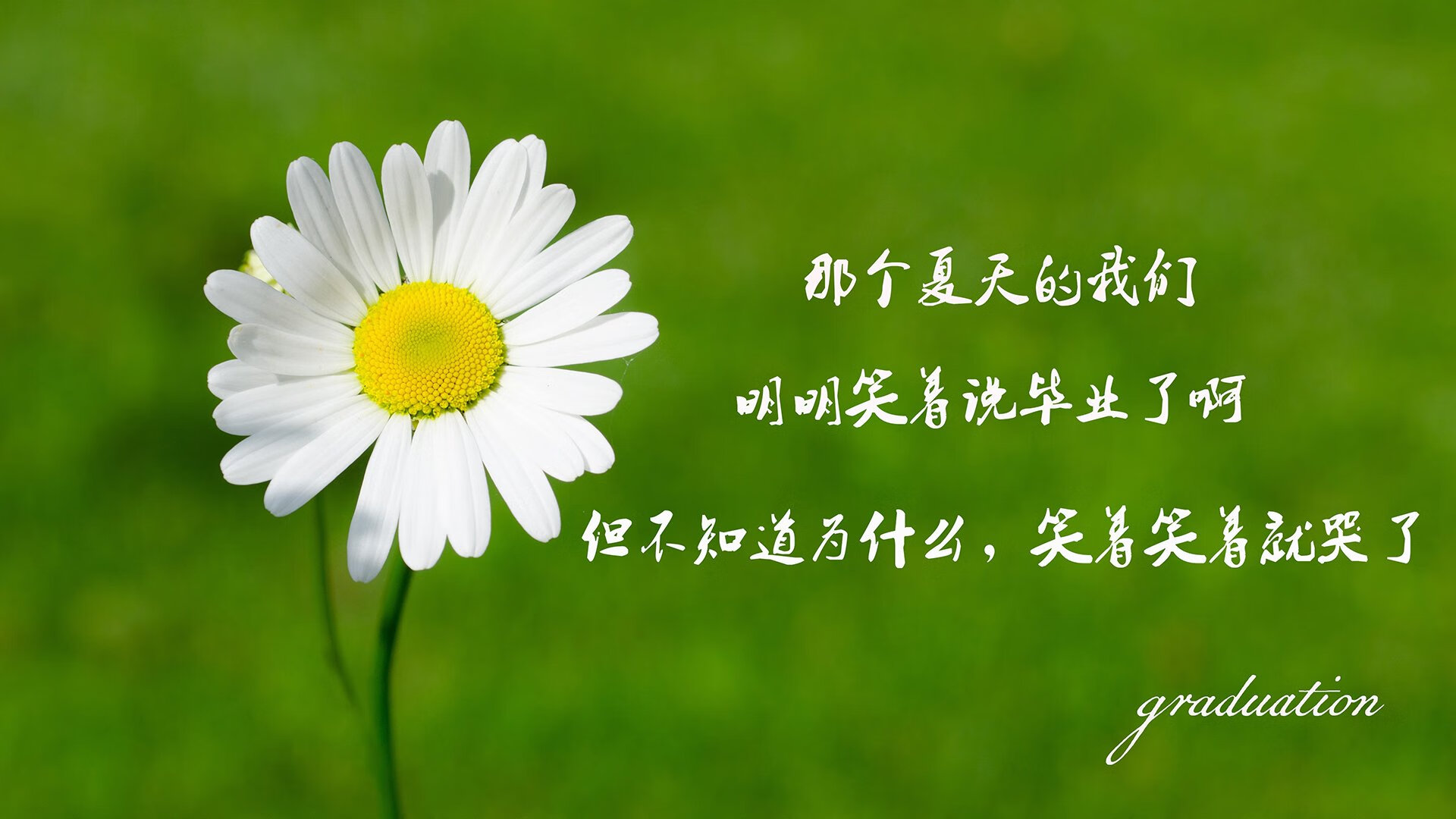 乐鱼体育app官网下载-攻防演练：本季最励志的战术对决分析，攻防演练攻击手法