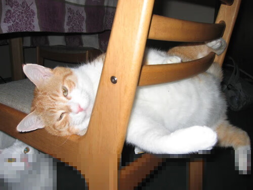 马竞门将关键扑救挽救险情，马竞出产的门将