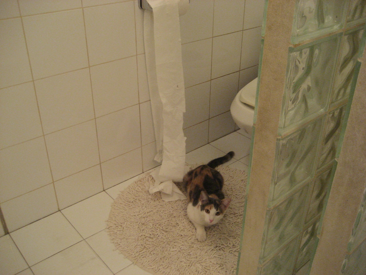 “亚戈·卡尔曼：阿根廷美洲狮队的无可替代的核心力量”