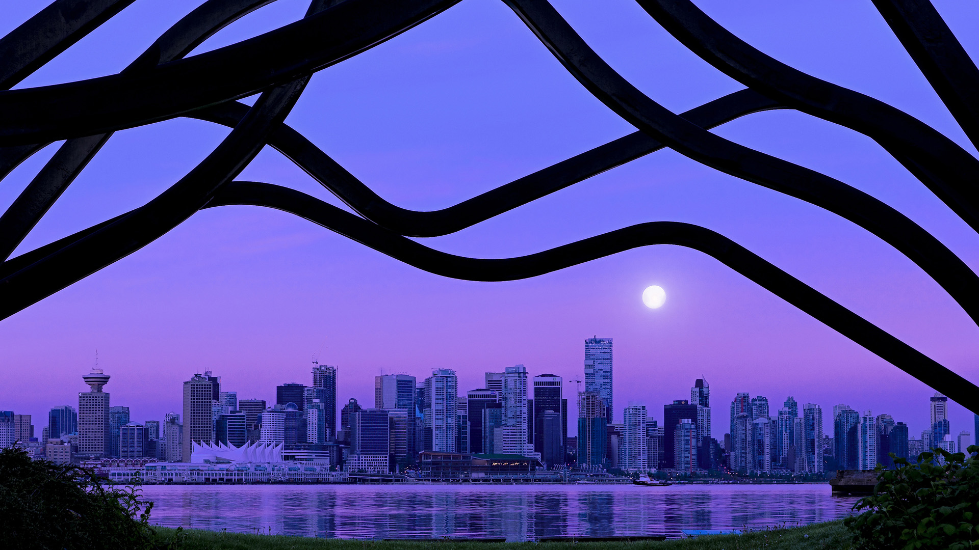 体育新闻中心激励人心故事，体育新闻分享