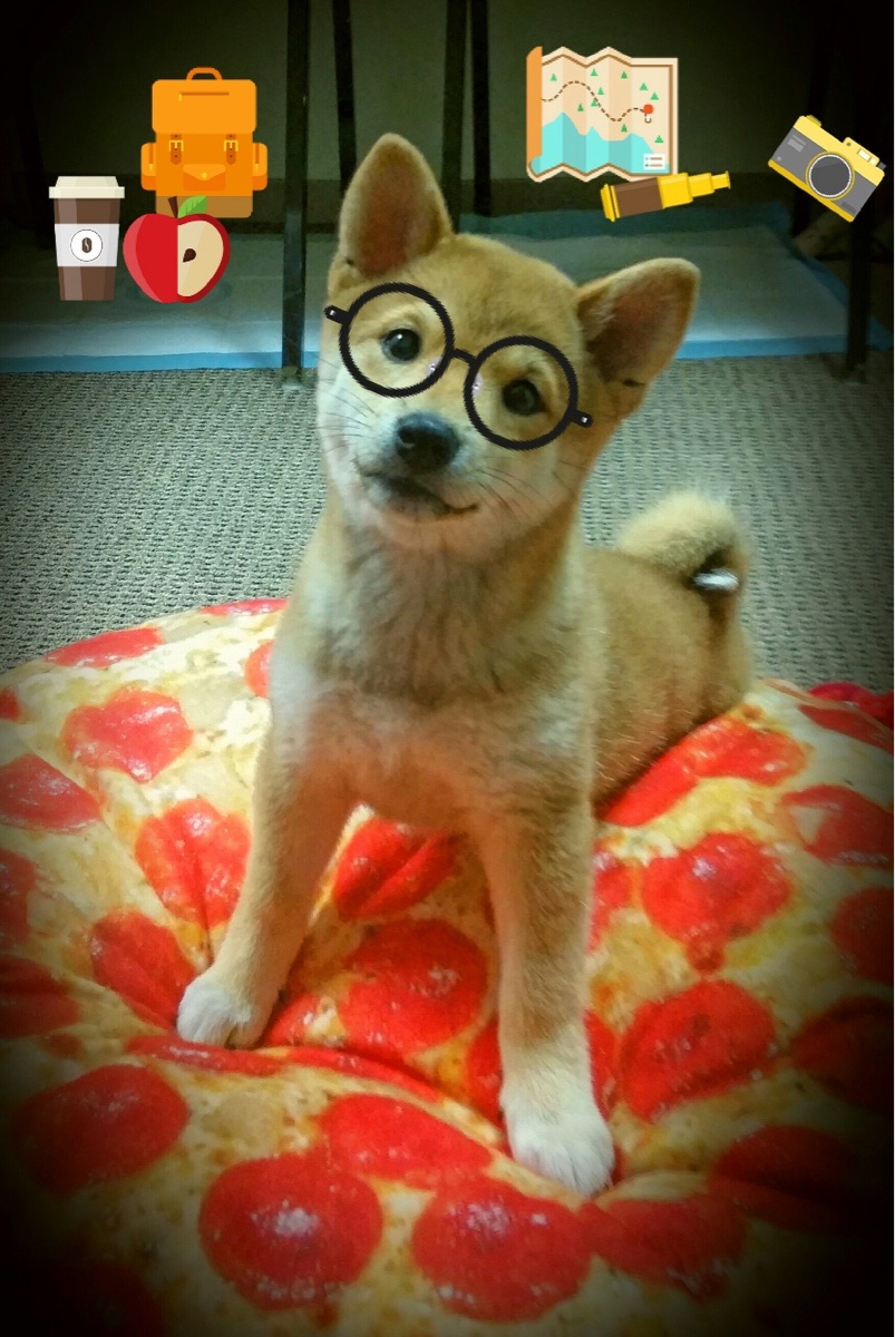 南非蝶泳新星震撼登场，南非游泳