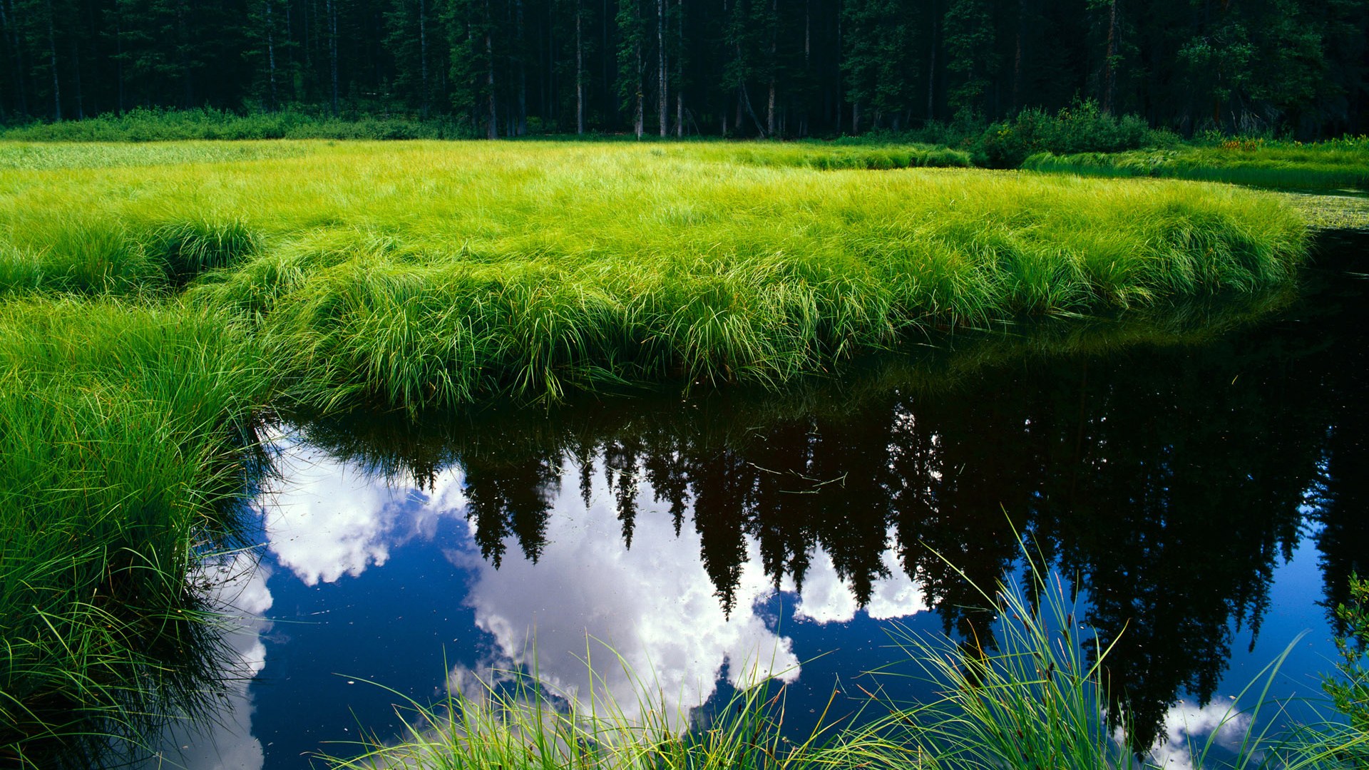 塔特的球场指挥官作用，令袋鼠队攻守如行云流水