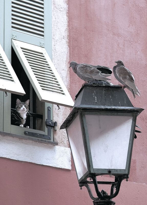 巴萨新星闪耀绿茵场，19岁天才横空出世，巴萨梯队新星